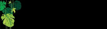 ����������� F10115